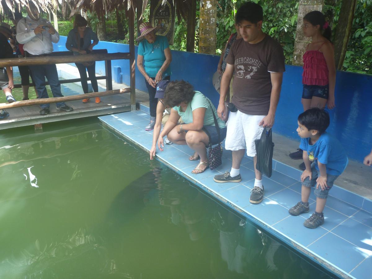 Hospedaje Las Amazonas Iquitos Exterior foto